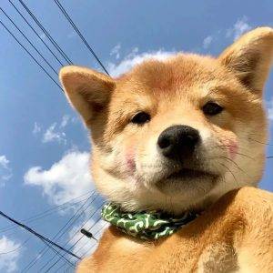 找不着北的头像