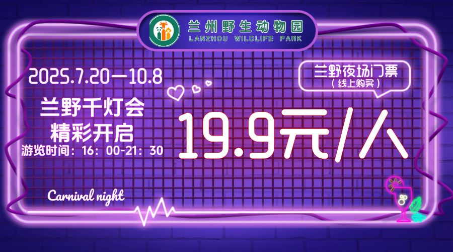 兰州野生动物园千灯之夜爆火！现场直击→