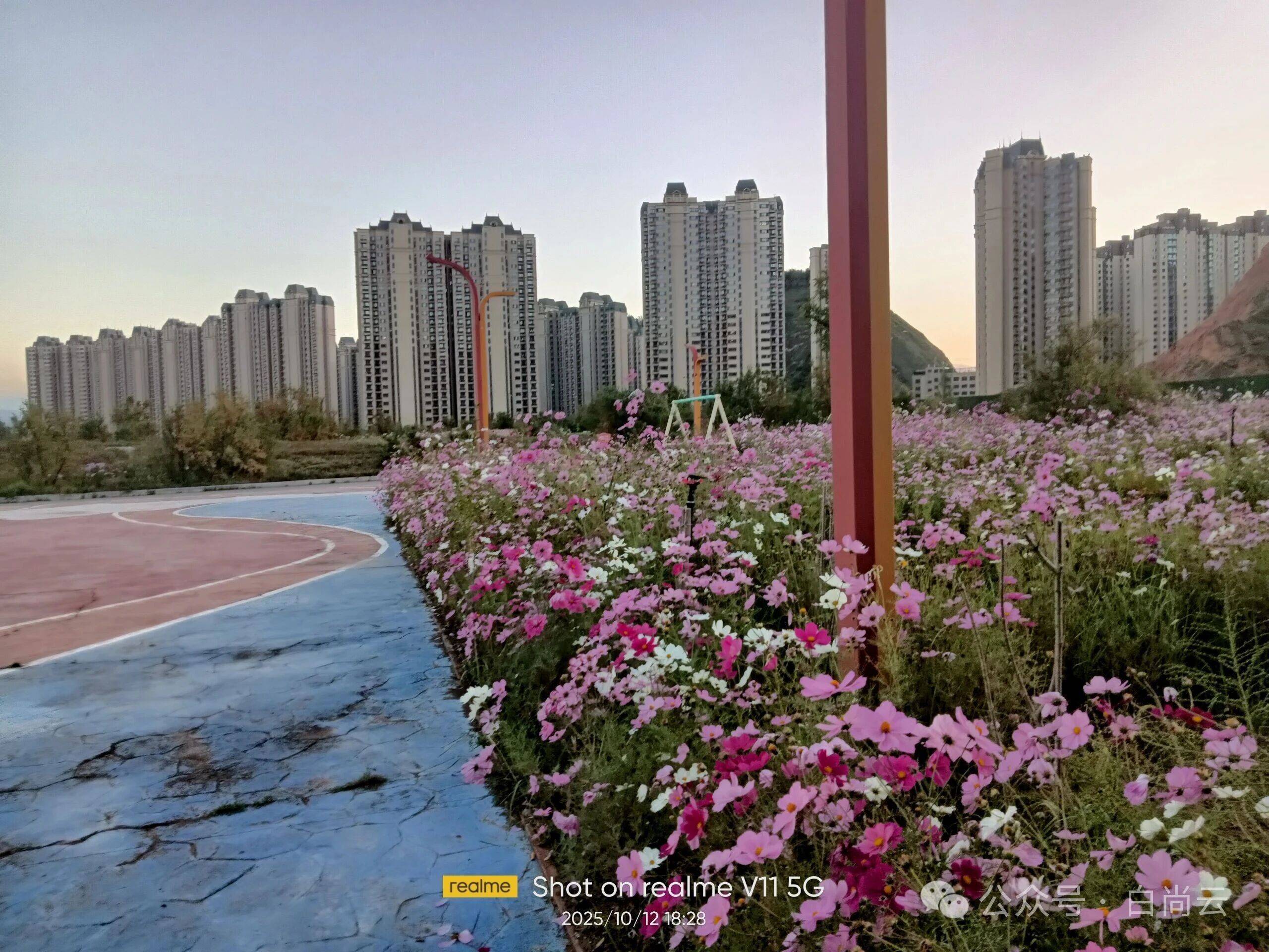 兰州市儿童公园现状