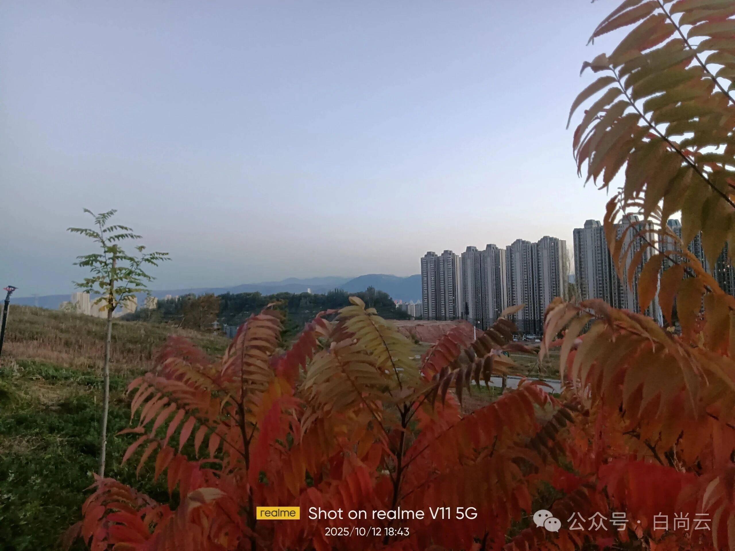 兰州市儿童公园现状